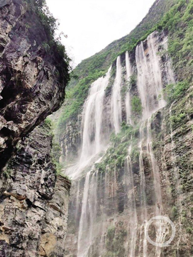 沪江开心词场